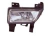 TYC 195270052 Fog Light